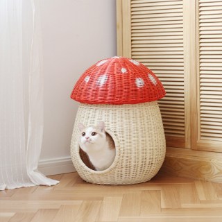 cat house mushroom 2